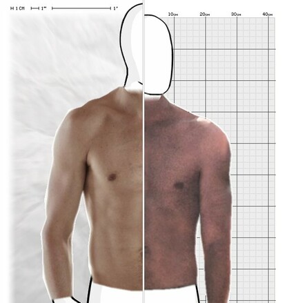 Torso Comparison