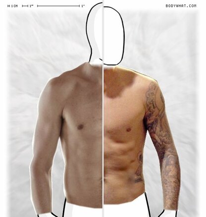 Torso Comparison