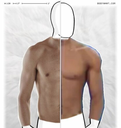 Torso Comparison