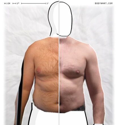 Torso Comparison