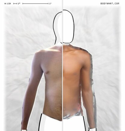 Torso Comparison
