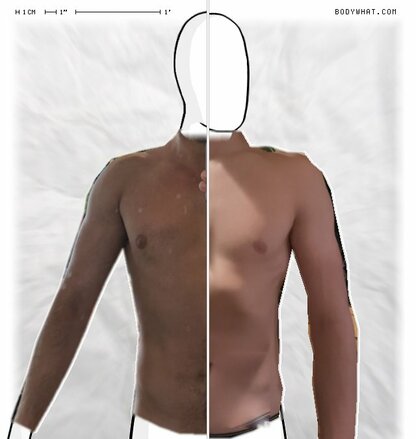 Torso Comparison