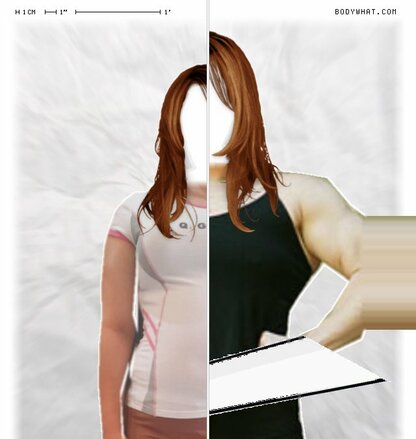 Torso Comparison
