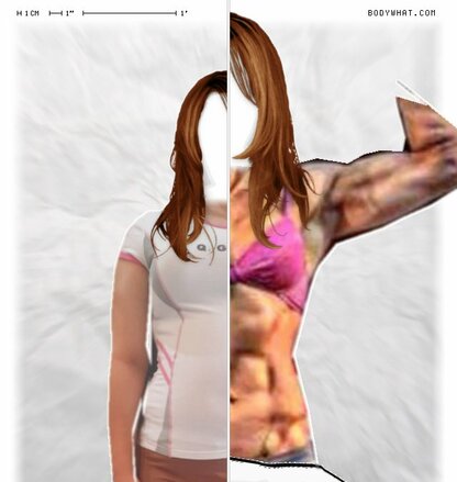 Torso Comparison