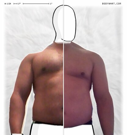 Torso Comparison