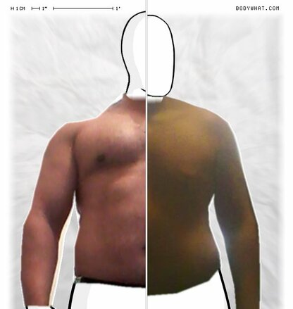 Torso Comparison