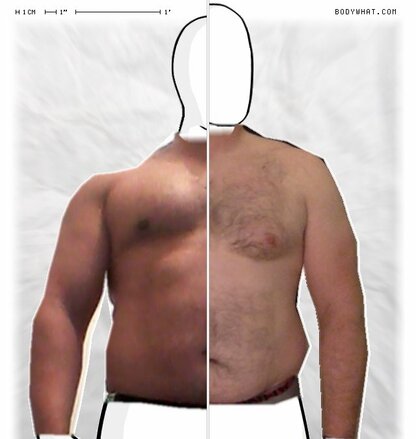 Torso Comparison