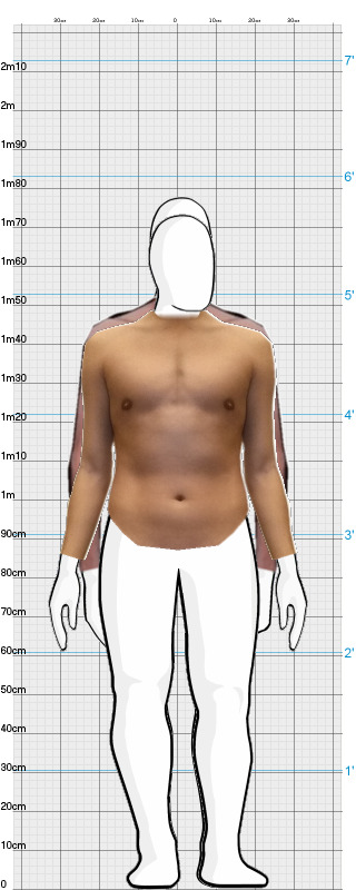 Full Size Comparison