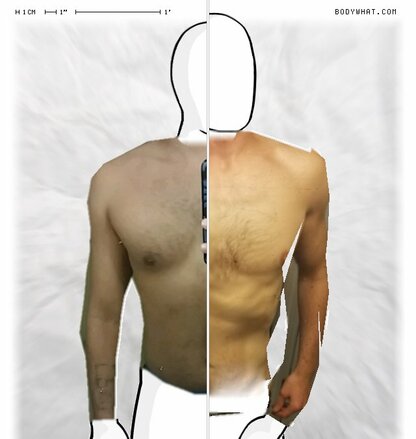 Torso Comparison