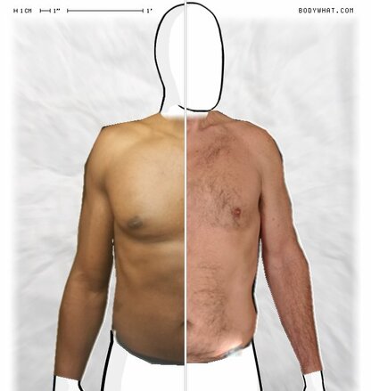 Torso Comparison