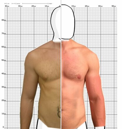 Torso Comparison