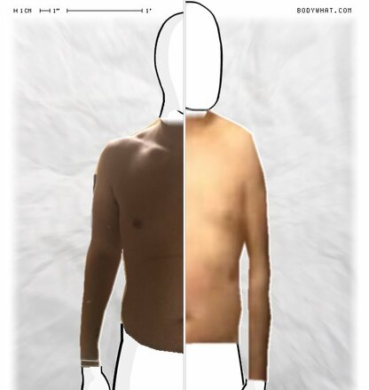Torso Comparison
