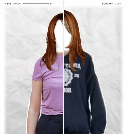 Torso Comparison