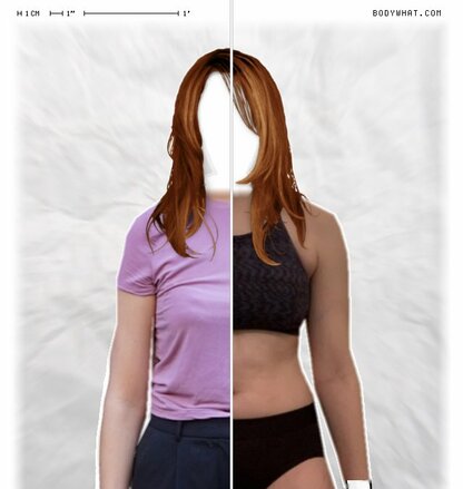 Torso Comparison