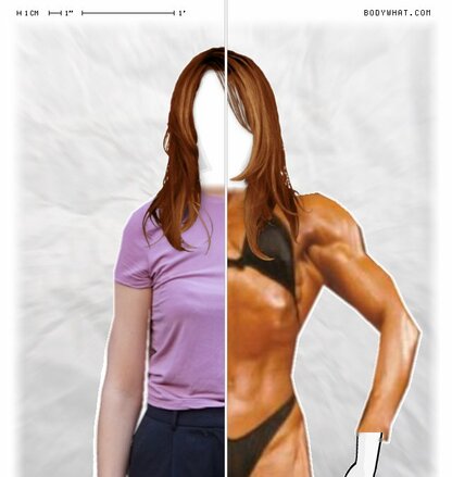 Torso Comparison