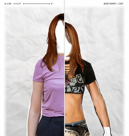 Torso Comparison