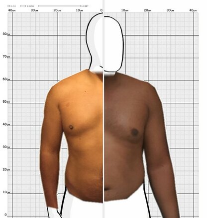 Torso Comparison