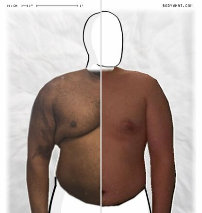 Torso Comparison