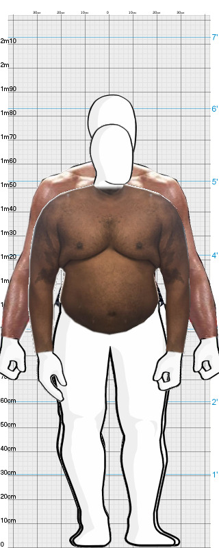 Full Size Comparison