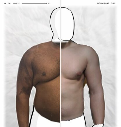 Torso Comparison