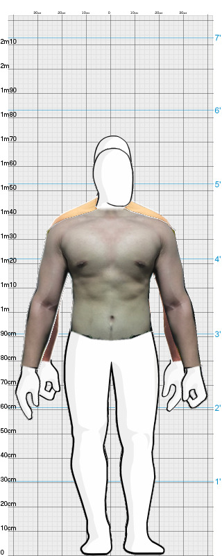 Full Size Comparison