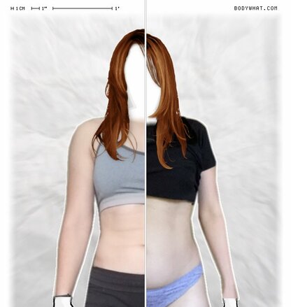 Torso Comparison