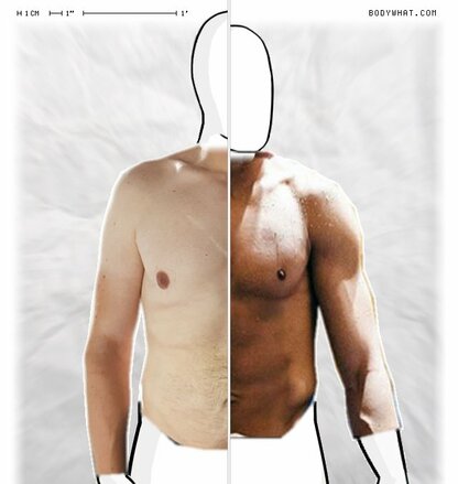 Torso Comparison