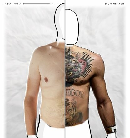 Torso Comparison