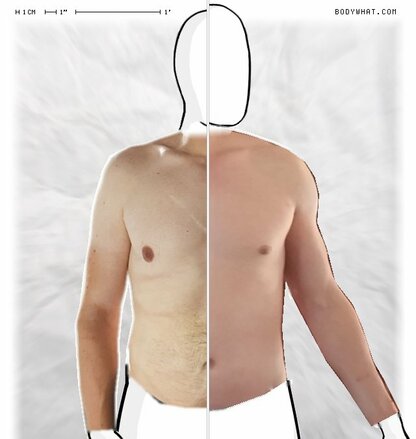 Torso Comparison
