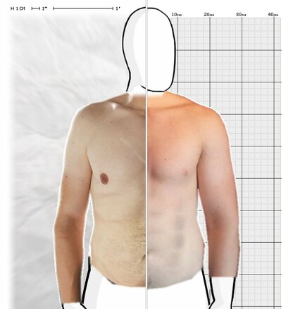 Torso Comparison