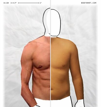 Torso Comparison