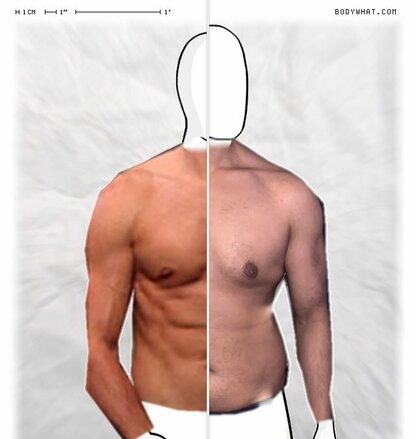 Torso Comparison