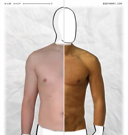 Torso Comparison