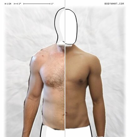 Torso Comparison