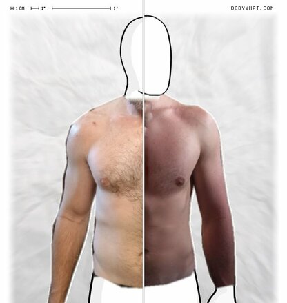 Torso Comparison
