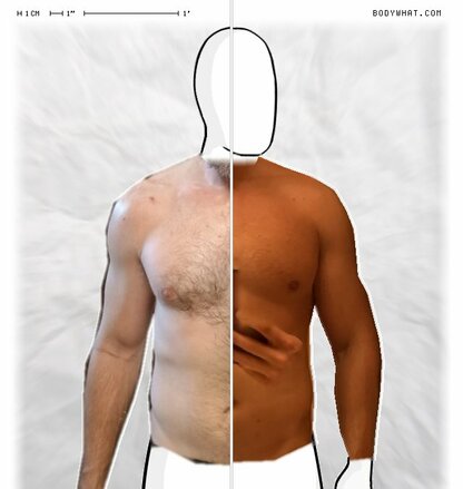 Torso Comparison