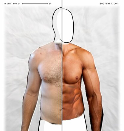 Torso Comparison