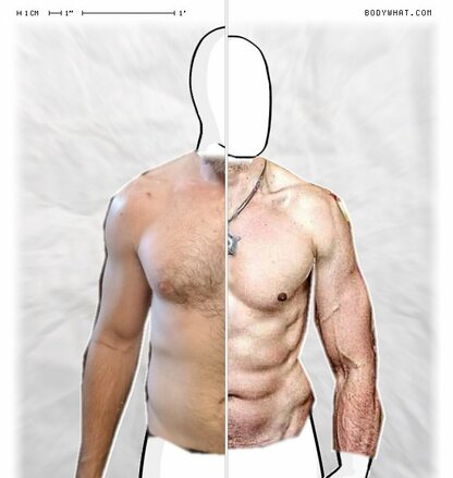Torso Comparison