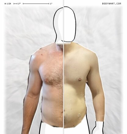 Torso Comparison