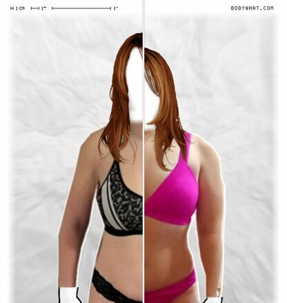 Torso Comparison