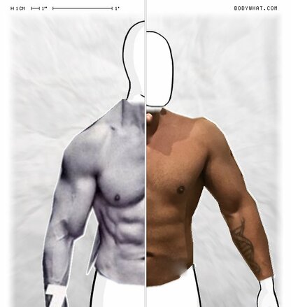 Torso Comparison