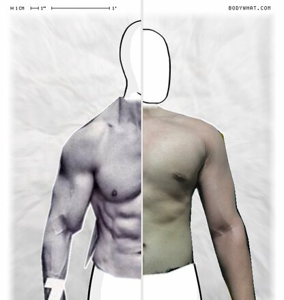 Torso Comparison