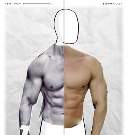 Torso Comparison