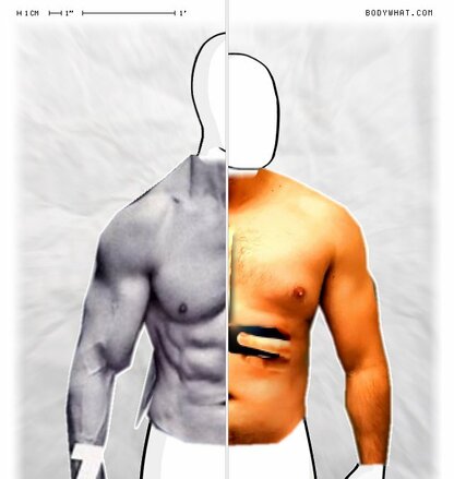 Torso Comparison