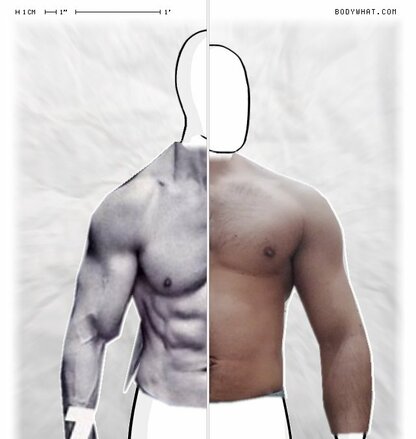 Torso Comparison