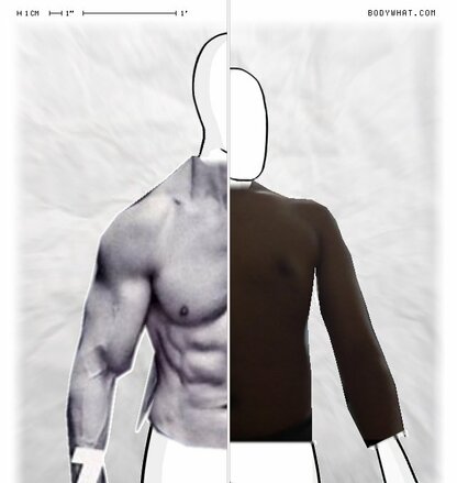 Torso Comparison