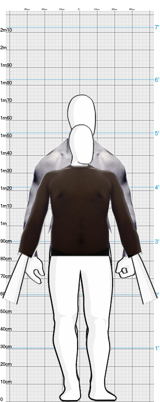 Full Size Comparison