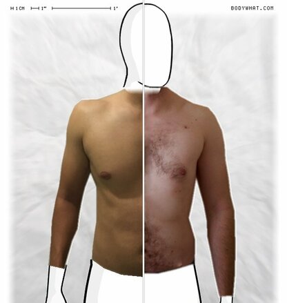 Torso Comparison