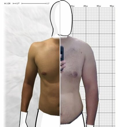 Torso Comparison