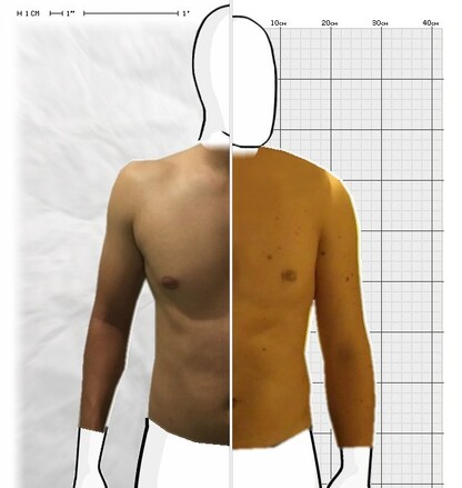 Torso Comparison